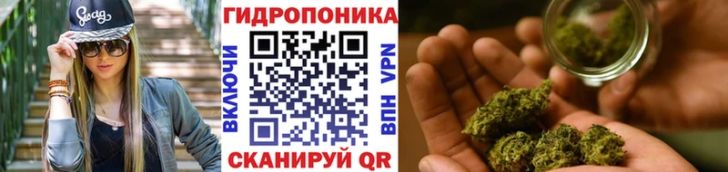 Где купить наркоту Аксай Гашиш  Псилоцибиновые грибы  COCAIN  МЕФ  МАРИХУАНА 